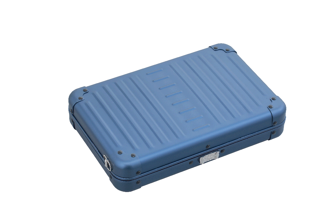 Aleon Large Personal Cross Body Case