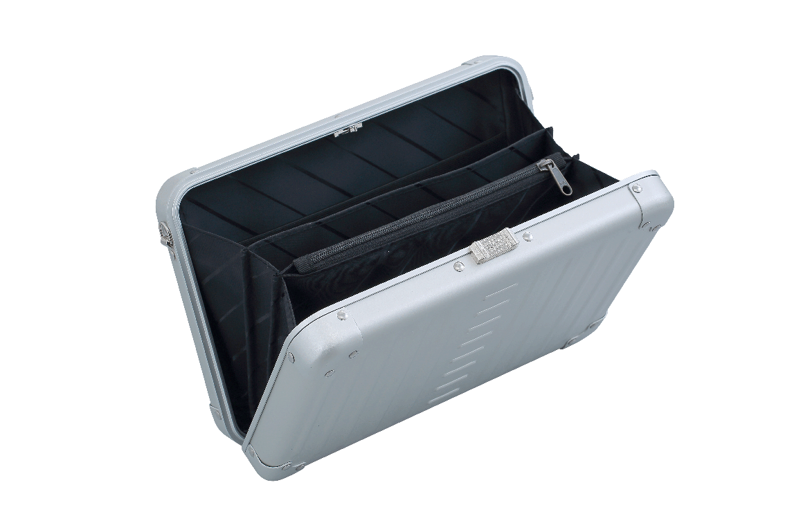 Aleon Large Personal Cross Body Case
