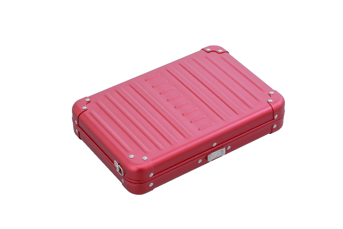 Aleon Large Personal Cross Body Case