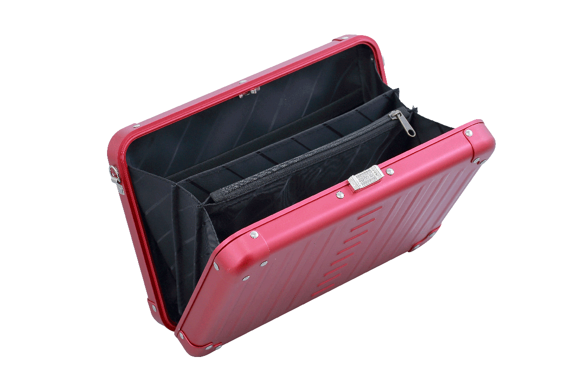 Aleon Large Personal Cross Body Case