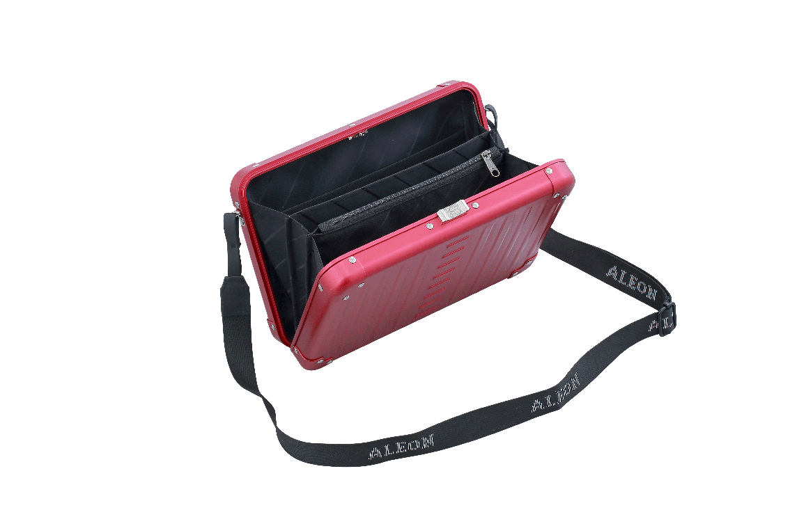 Aleon Large Personal Cross Body Case