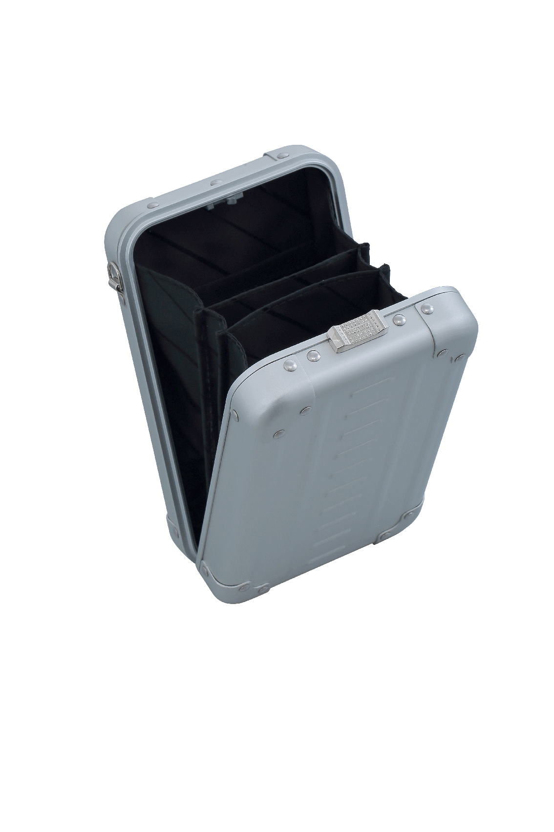 Aleon Vertical Mini Cross Body Personal Case
