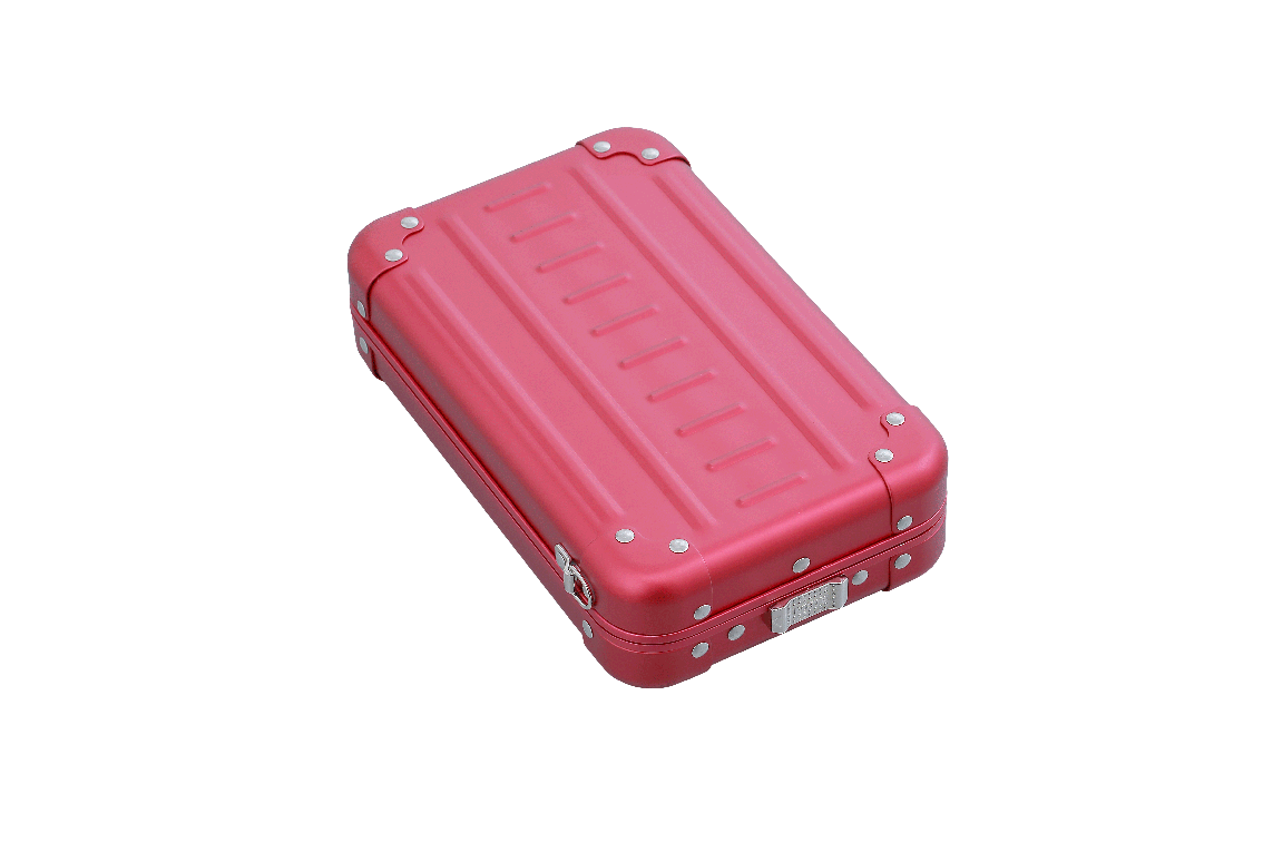 Aleon Vertical Mini Cross Body Personal Case