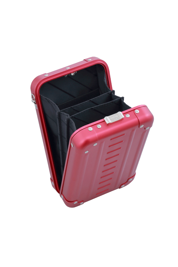 Aleon Vertical Mini Cross Body Personal Case