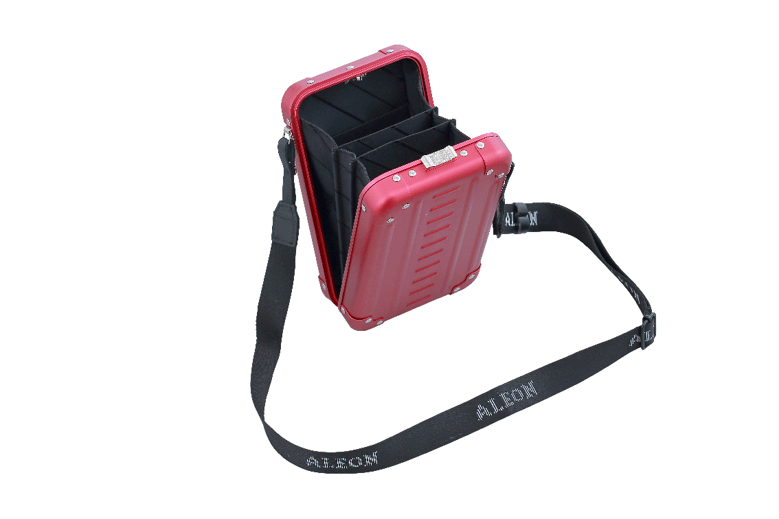 Aleon Vertical Mini Cross Body Personal Case