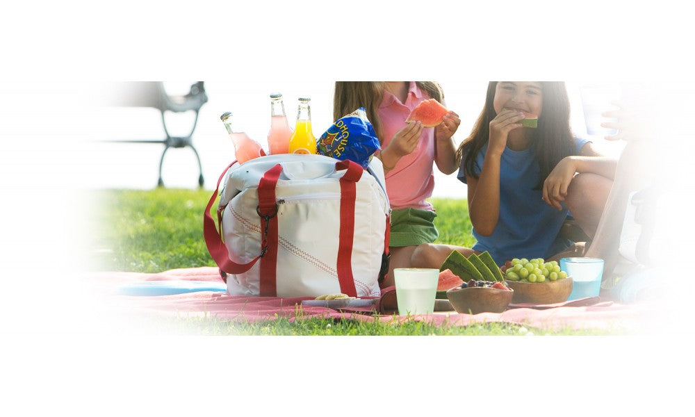 SailorBags Newport 12-pack Vegan Cooler Bag